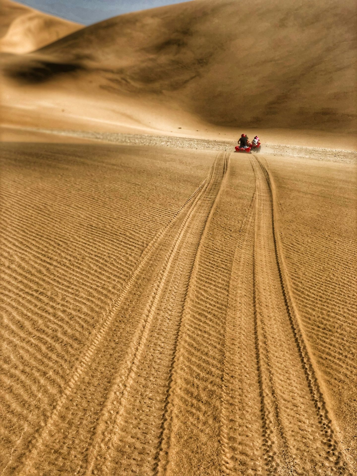 a couple of people riding on top of a sandy dune